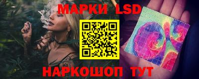 стаф Нальчик